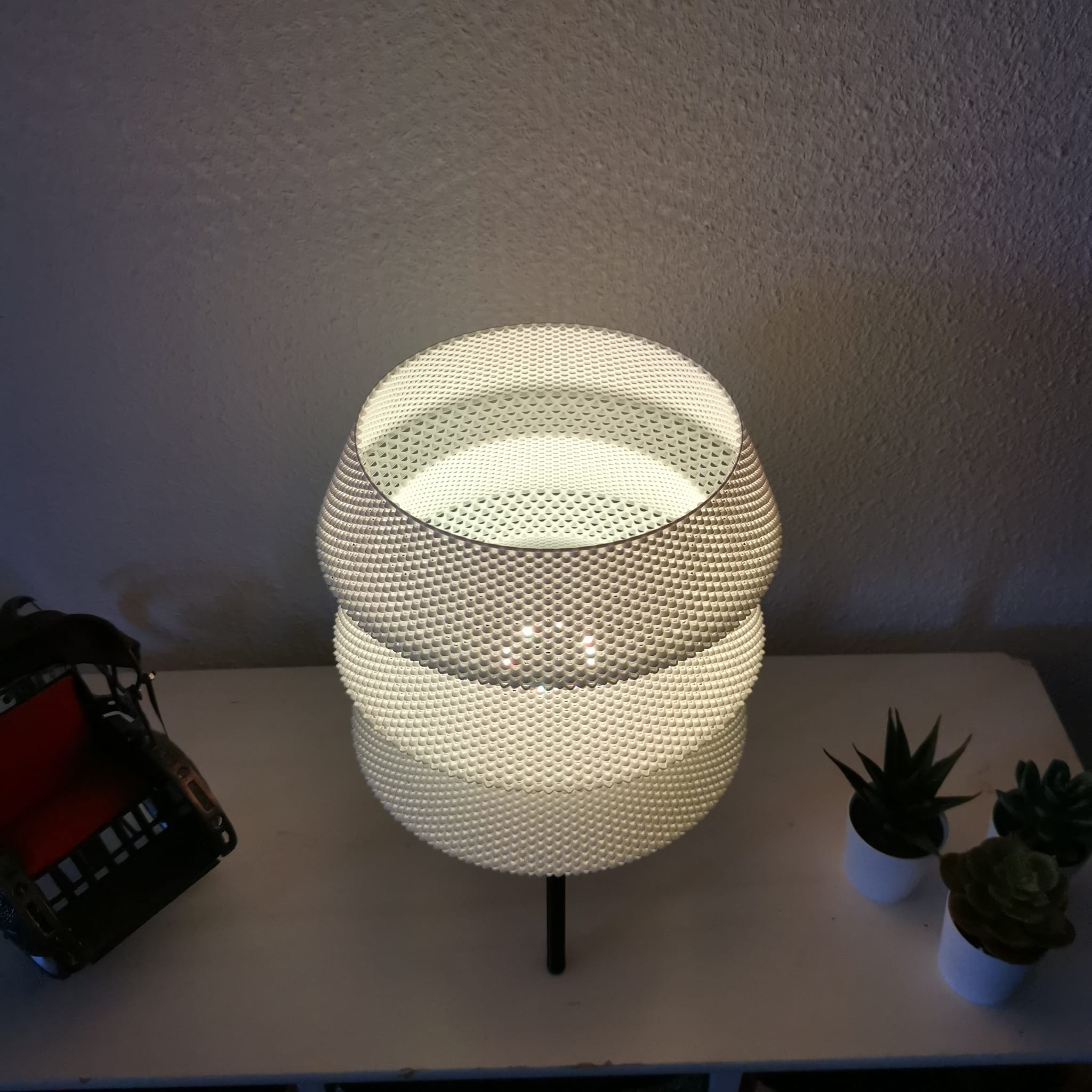 Dynasty Light